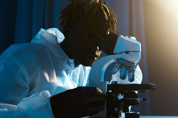 Edital da Plataforma Ancestralidades incentiva pesquisas sobre ciência e tecnologia e saberes afro-brasileiros