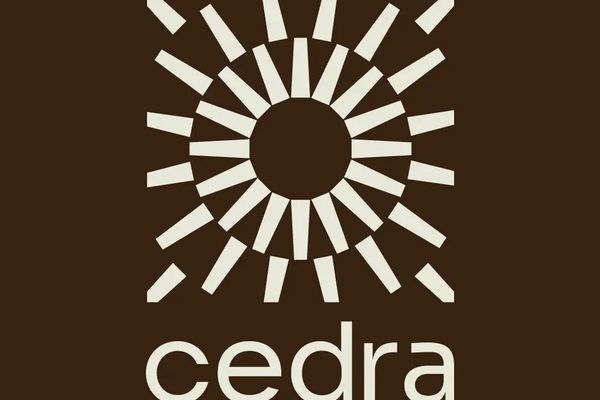 Plataforma organiza dados estatísticos para explicitar as desigualdades raciais no Brasil