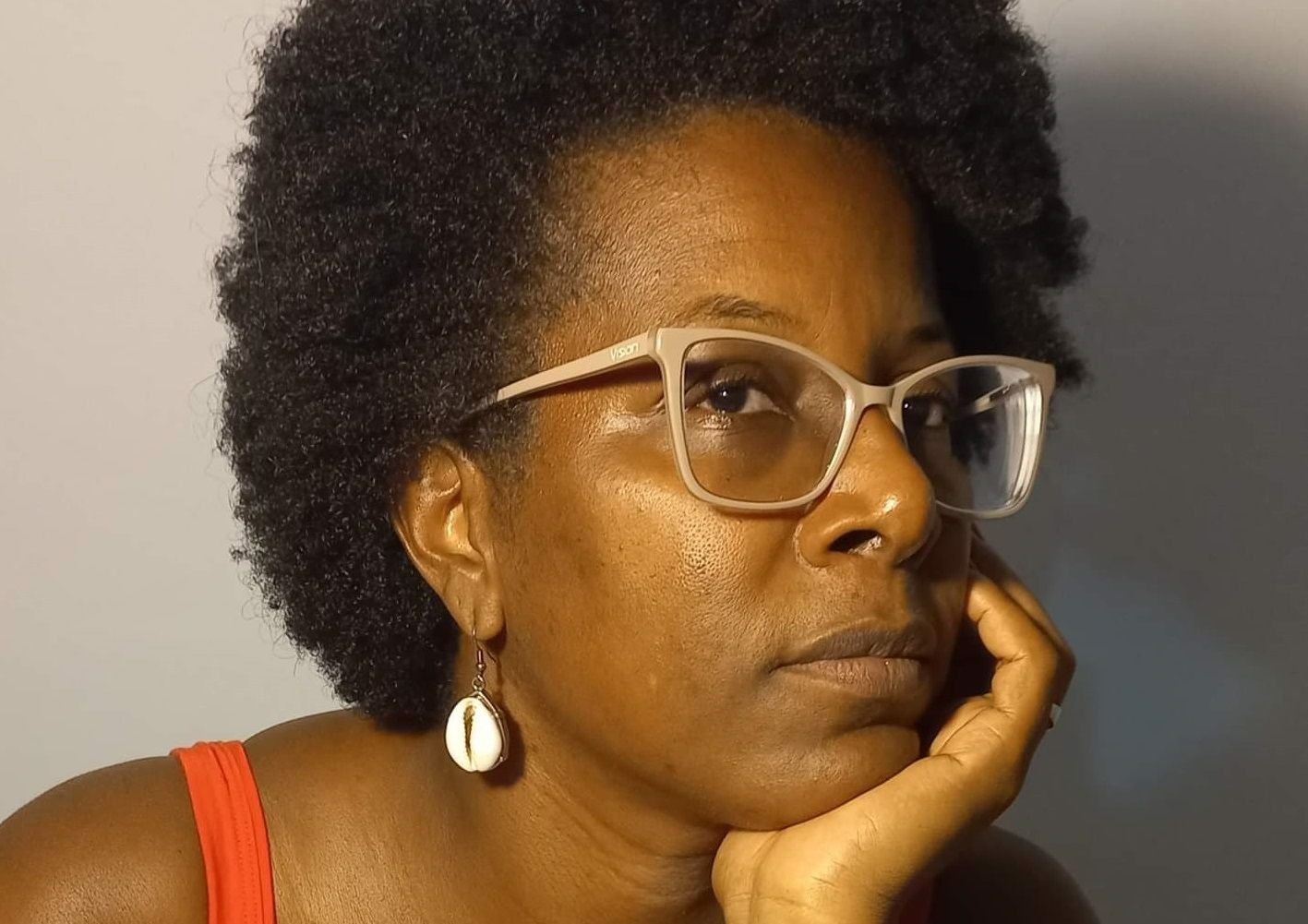 A população negra precisa estar na estrutura dos jornais - Entrevista com Maria Cláudia Cardoso Ferreira